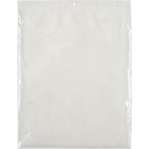 Poly Bags, Reclosable, 12" x 10", 2 mils Equipment World