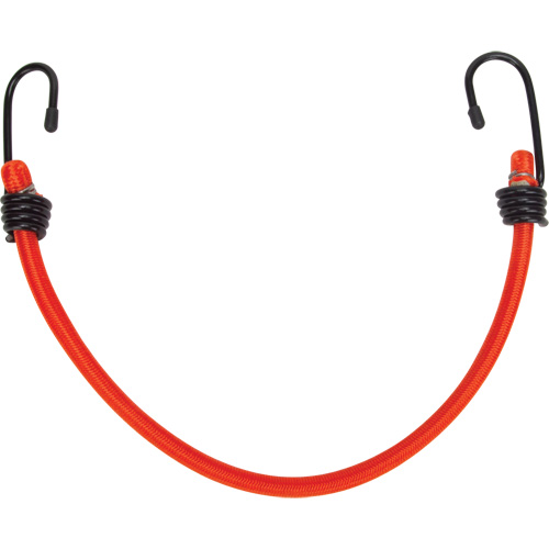 Bungee Cord Tie Downs, 12" Equipment World