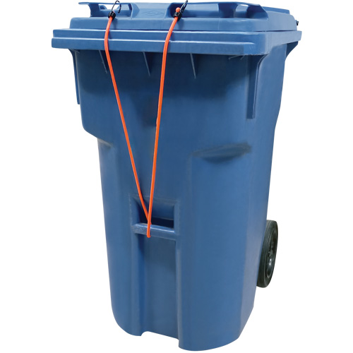 Bungee Cord Tie Downs, 12" Equipment World