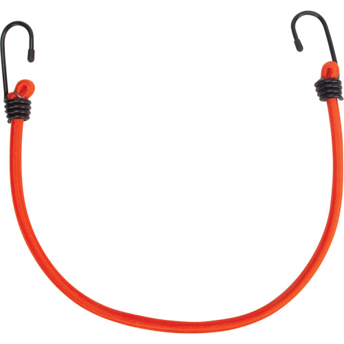 Bungee Cord Tie Downs, 18" Equipment World