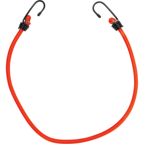 Bungee Cord Tie Downs, 24" Equipment World