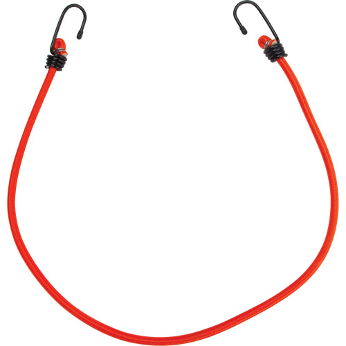 Bungee Cord Tie Downs, 30" Equipment World