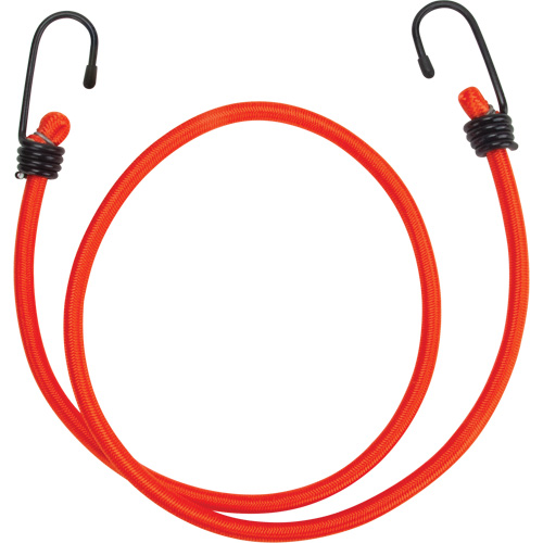 Bungee Cord Tie Downs, 36" Equipment World