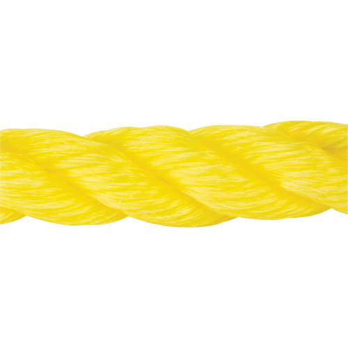 Braided Yellow Rope, Polypropylene, 300' Equipment World
