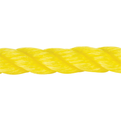 Braided Yellow Rope, Polypropylene, 144' Equipment World