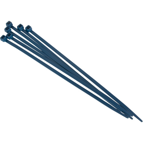 Metal Detectable Cable Ties, 6" L, 120 lbs. Tensile Strength Equipment World