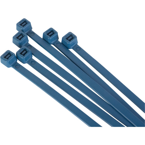 Metal Detectable Cable Ties, 6" L, 120 lbs. Tensile Strength Equipment World