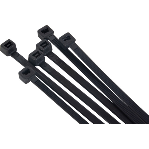 Attache pour c&acirc;bles, Longueur 8" Equipment World