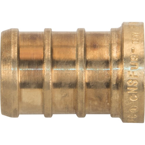 Lead-Free Pipe Plug, Pipe, 1/2" Dia., Brass Equipment World