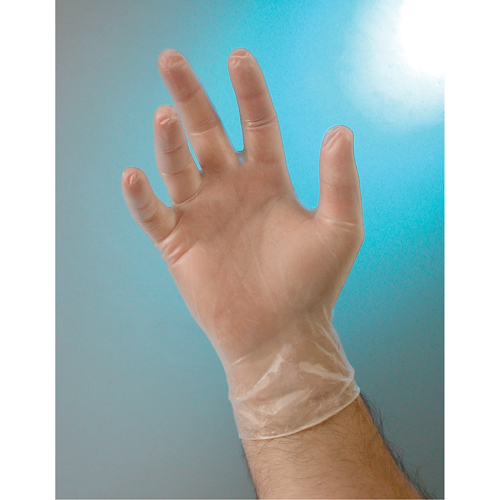Gants d'examen, Petit, Vinyle, 4 mils, Sans poudre, Transparent, Classe 2 Equipment World