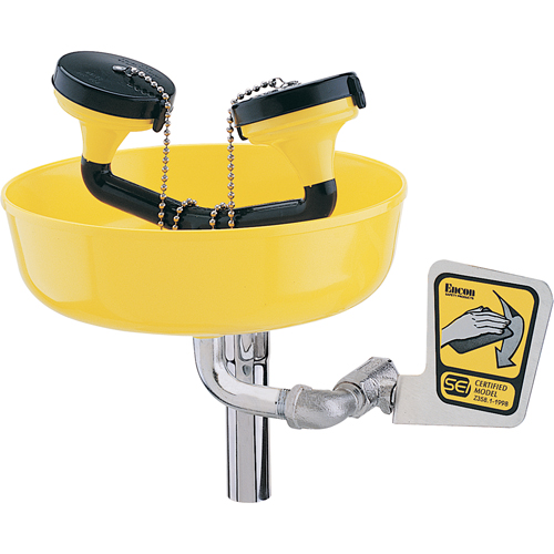 Eyewash Station, Supply Pipe Mount Installation, Plastic Bowl Equipment World