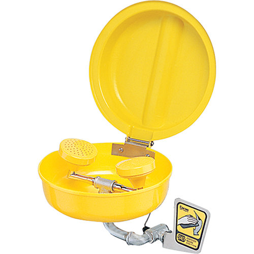 Eye/Face wash With Cover, Wall-Mount Installation, Plastic Bowl Equipment World