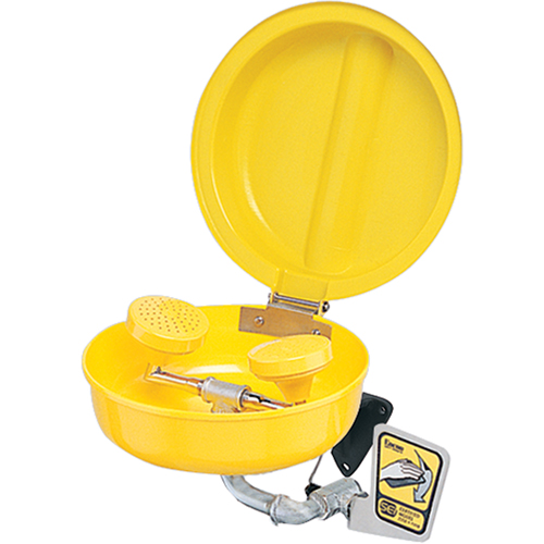 Eye/Face Wash With Cover, Pedestal Installation, Plastic Bowl Equipment World