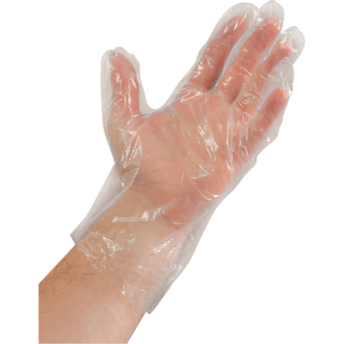 Disposable Gloves, Medium, Polyethylene, 0.02-mil, Powdered, Clear Equipment World