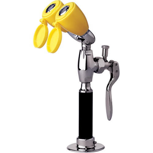 Drench Hose & Eyewash, Counter-Mount Installation Equipment World