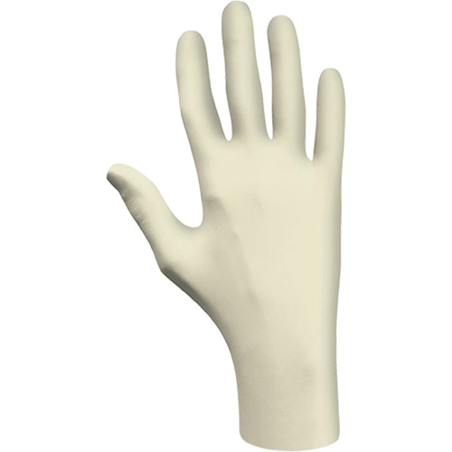 Disposable Gloves, Large, Latex, 3-mil, Powder-Free, Natural, Class 2 Equipment World