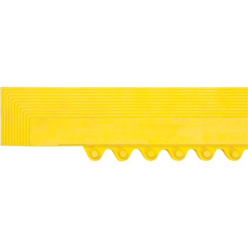 Border Ramp for Matting Equipment World