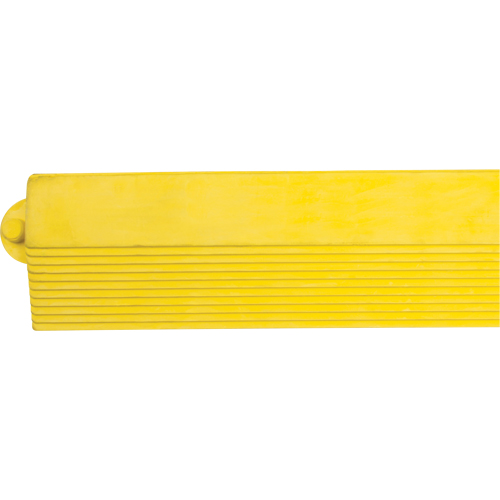 Border Ramp for Matting Equipment World