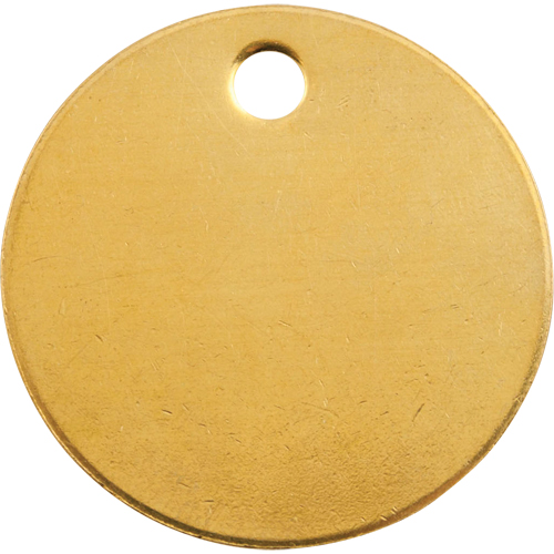 Blank Tags, Brass, 2" dia Equipment World