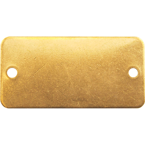 Blank Tags, Brass, 3" W x 1" H Equipment World