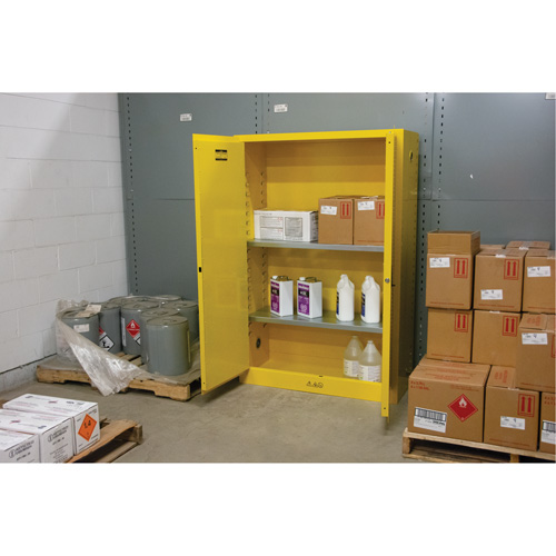 Flammable Storage Cabinet, 45 gal., 2 Door, 43" W x 65" H x 18" D Equipment World