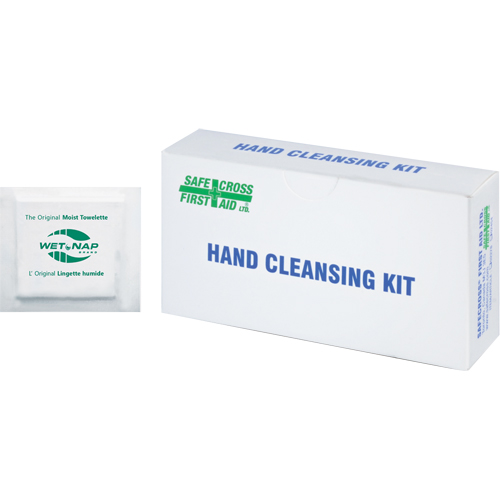 Hand Cleansing Moist Wipes, Towelette Equipment World