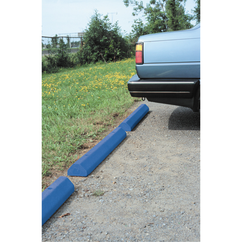 Car Stops, Plastic, 6' L, Blue Equipment World