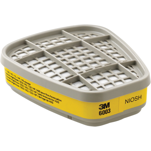 Cartouches pour respirateur s&eacute;rie 6000, Cartouche gaz/vapeur, Vapeurs organiques/Gaz acides Equipment World