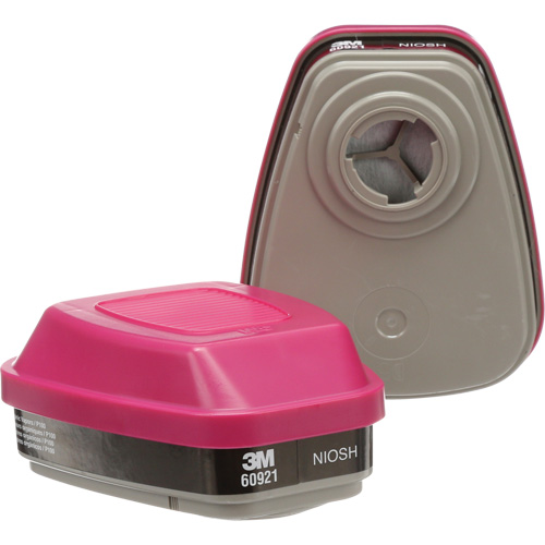 Cartouches pour respirateur s&eacute;rie 6000, Cartouche gaz/vapeur, Vapeurs organiques/P100 Equipment World