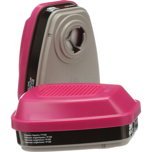 Cartouches pour respirateur s&eacute;rie 6000, Cartouche gaz/vapeur, Vapeurs organiques/P100 Equipment World