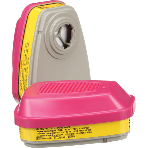 Cartouches pour respirateur s&eacute;rie 6000, Cartouche gaz/vapeur, Vapeurs organiques/Gaz acides/P100 Equipment World