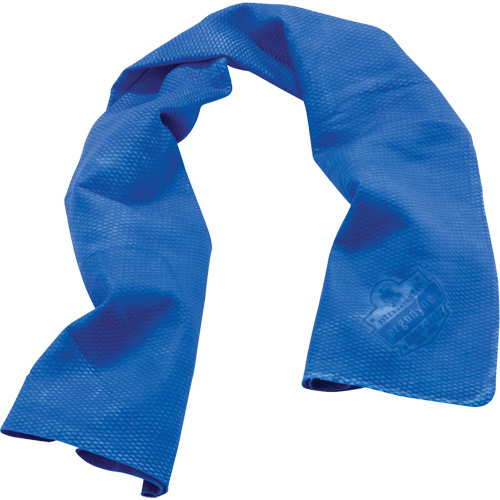 Chill-Its&reg; 6602 Cooling Towels, Blue Equipment World