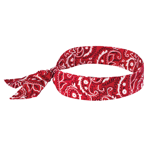Chill-Its&reg; 6700 Cooling Bandanas, Red Equipment World