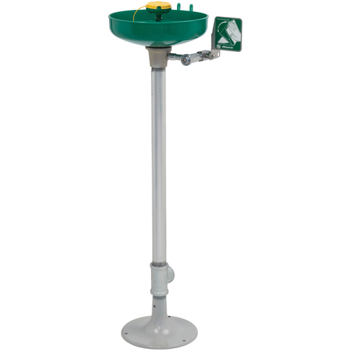 Axion&reg; Eye/Face Wash Station, Pedestal Installation, Plastic Bowl Equipment World