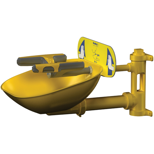 Halo Face/Eyewash Stations, Wall-Mount Installation, Plastic Bowl Equipment World