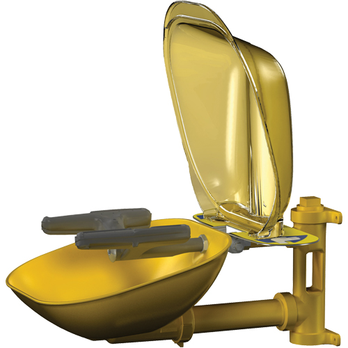 Halo Face/Eyewash Stations, Wall-Mount Installation, Plastic Bowl Equipment World