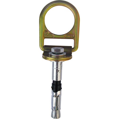 PRO Concrete D-ring Anchor with Bolt, Concrete/D-Ring, Permanent Use Equipment World