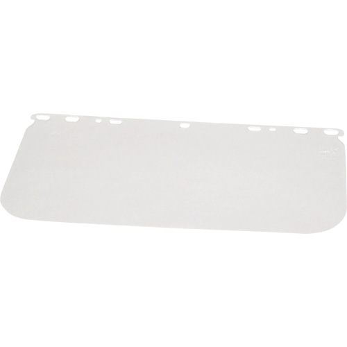 Valugard Visor, PETG, Clear Tint Equipment World