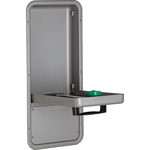 Eye/Face Wash Station, Wall-Mount Installation, Stainless Steel Bowl Equipment World