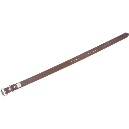 Leg Straps Equipment World