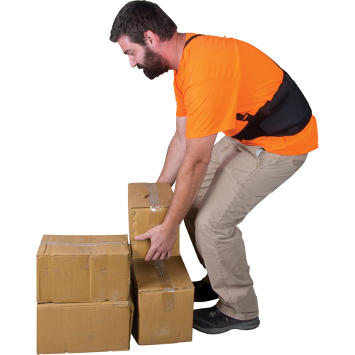 Back Support, Elastic, Small Equipment World