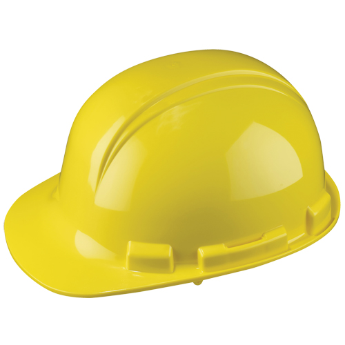 Dynamic Whistler Hardhat, Meets CSA Type 1, Pinlock Suspension, Non-Vented Equipment World