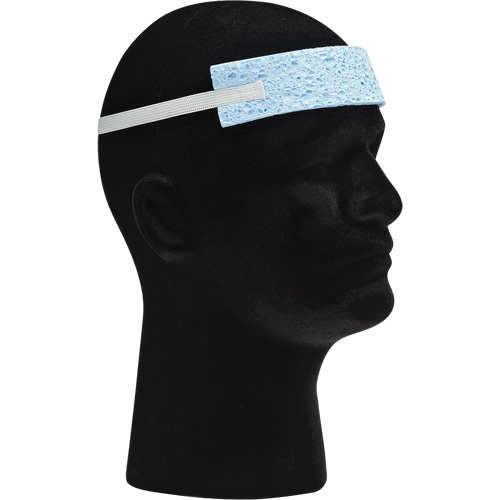 Dynamic Foam Sweat Band with Elastic Head Strap Equipment World