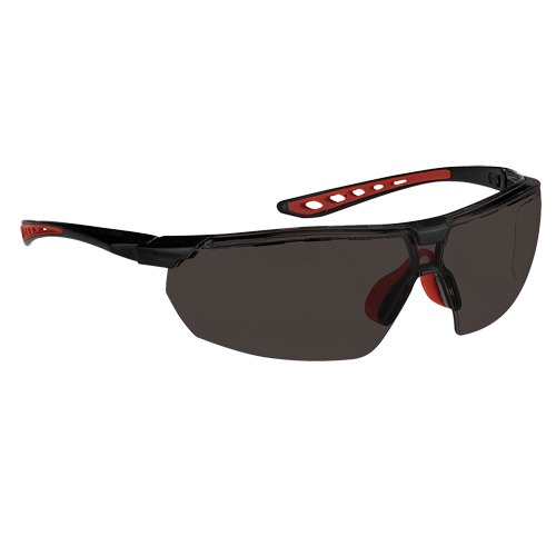 Dynamic Falcon Series Safety Glasses, Smoke Lens, Anti-Fog, ANSI Z87+/Meets/Exceeds CSA Z94.3 Equipment World