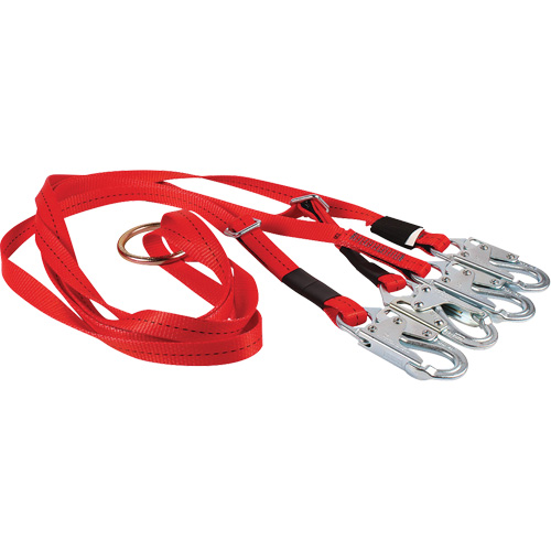 Dynamic Bridle for Wire Basket Stretcher Equipment World