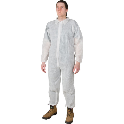 Coveralls, Medium, White, Polypropylene Equipment World