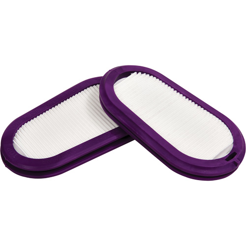 Replacement Filters, Particulate Filter, P100 Filter Equipment World