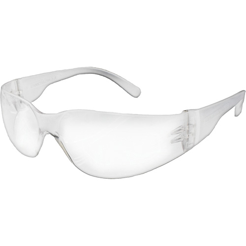 NOVA E-Series Safety Glasses, Clear Lens, Meets/Exceeds CSA Z94.3 Equipment World