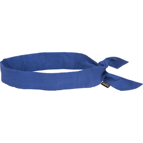 Cooling Bandana, Blue Equipment World