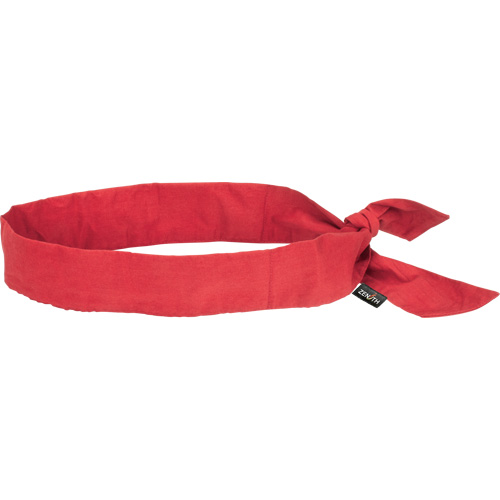 Cooling Bandana, Red Equipment World